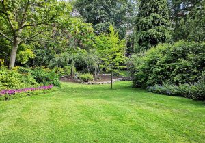 Optimiser l'expérience du jardin à Fresnoy-la-Riviere